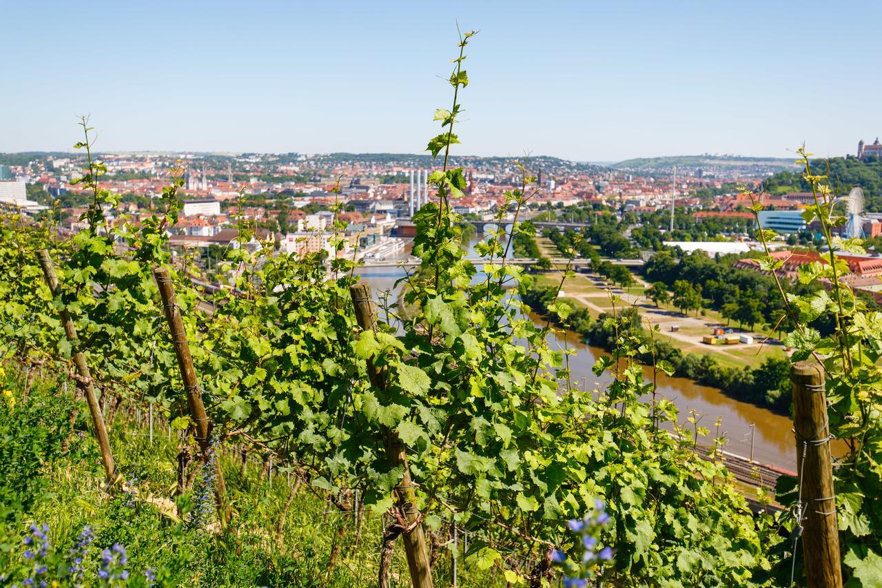 Schlosshotel Steinburg Würzburg Exteriör bild